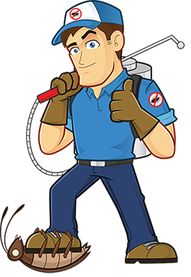 Exterminateur Rats Bed Bugs